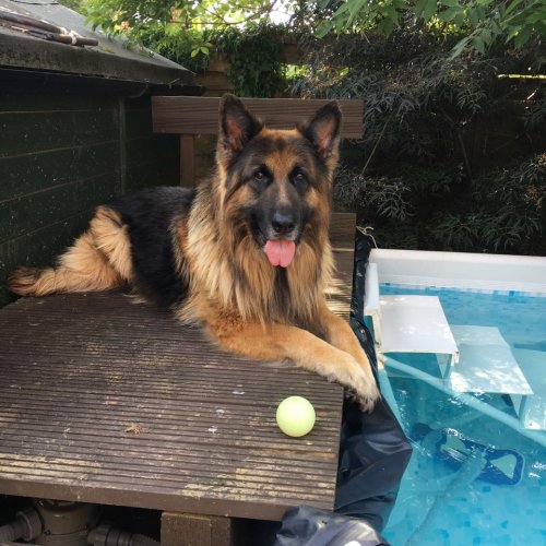 Can we get in the pool now??